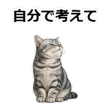 857415526