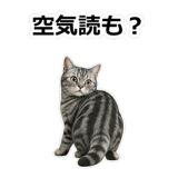 857415532