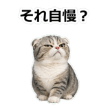 857415588