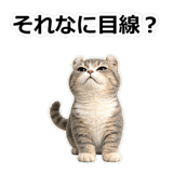857415597