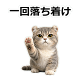 857415598