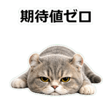 857415602