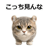 857415603
