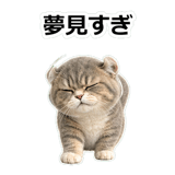 857415613