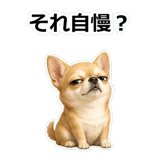 857419212