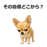 857419225