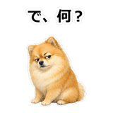 857419538