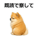 857419551