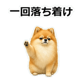 857419558