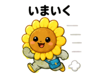 857420203