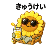 857420205