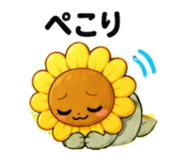 857420223