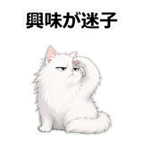 857420244