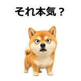 857420267