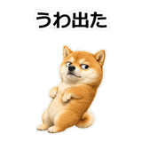 857420269