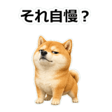 857420276