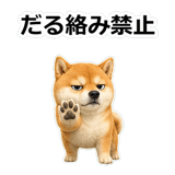 857420281