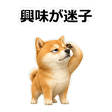 857420284