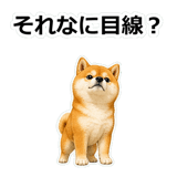 857420285