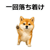 857420286