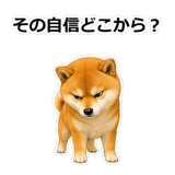 857420289