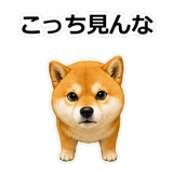 857420291