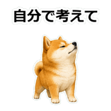 857420294