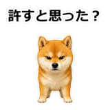 857420295
