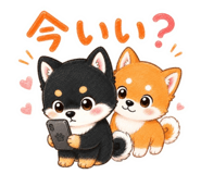 857422565