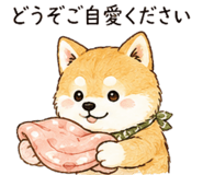 857423922