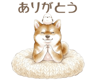 857424987