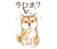 857424998