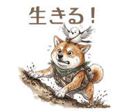 857425002