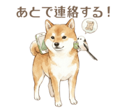 857425003