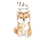 857425006