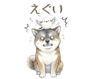 857425007