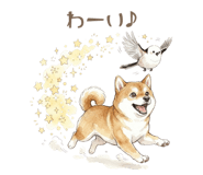 857425012