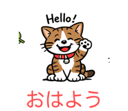 857426050
