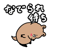 857426956
