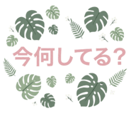 857427178