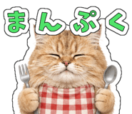 857427232