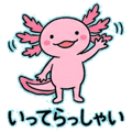857428852