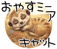 857433104