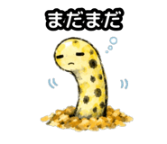 857433778