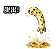 857433781