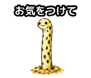 857433788