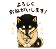 857434628