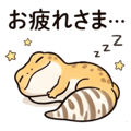 857434667