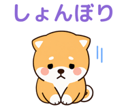 857434752