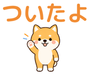 857434765